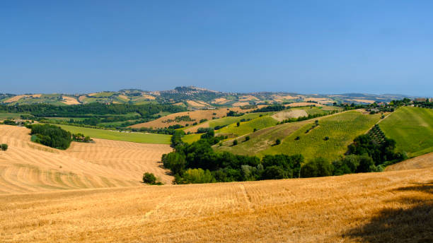 istock Summer landscape near Monterubbiano (Fermo, Marches) 874016682
