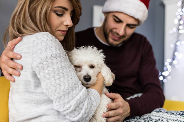 istock Young beautiful couple snuggling with the dog . 874030442