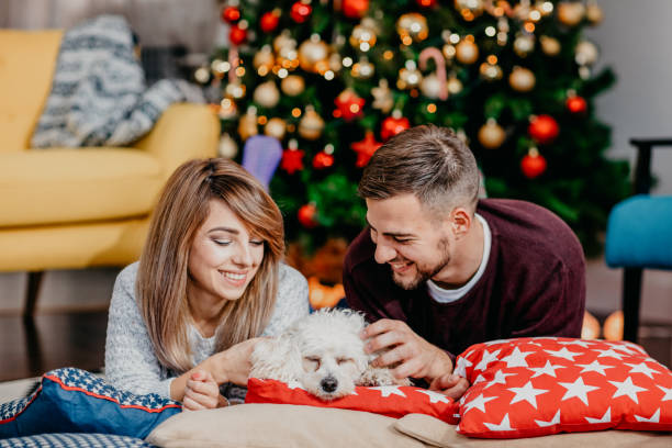 istock Dog enjoying petting, couple cuddling bichon 874031288