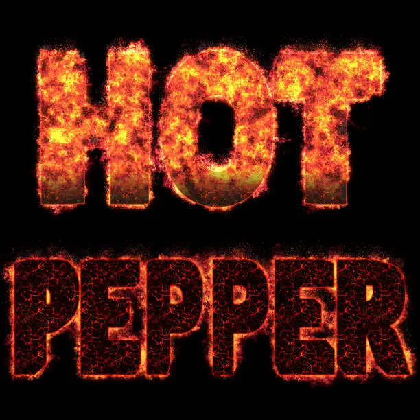 Burning in flames HOT, Red Pepper, 3D Illustration, Black background.