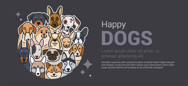 vorlage eines banners für einen hundeshop. - dog malamute sled dog bulldog stock-grafiken, -clipart, -cartoons und -symbole