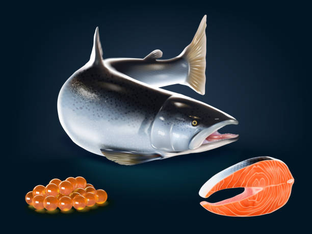 ilustraciones, imágenes clip art, dibujos animados e iconos de stock de un conjunto de salmón fresco realista, carne, huevo - smoked salmon illustrations