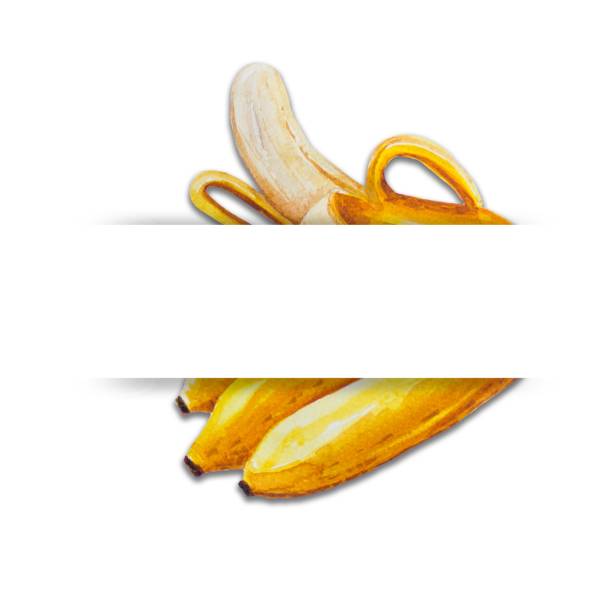 ilustrações, clipart, desenhos animados e ícones de banana, pintura com aquarela então desenhada sobre um fundo branco. espaço em branco em branco no meio de seu texto. - banana peeled banana peel white background