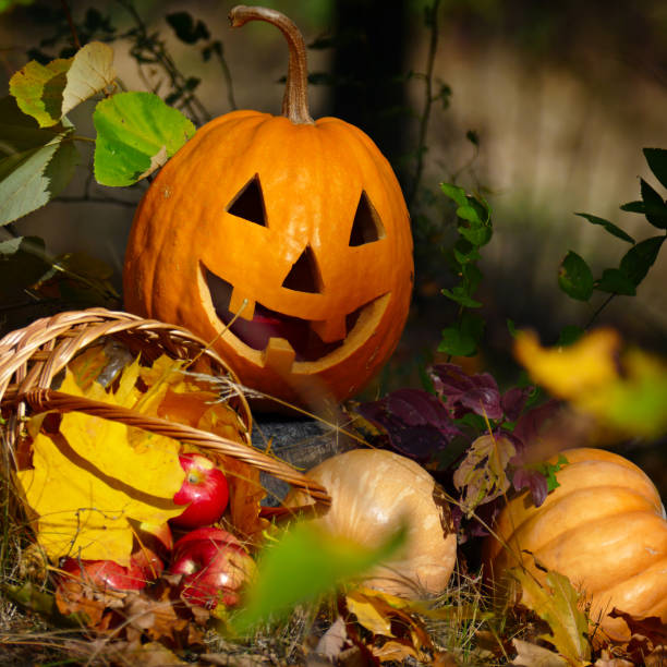 istock Halloween Pumpkin in the forest 874068474