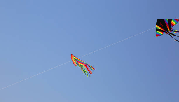 istock Two huge kites fly in the blue sky in the summer 874070272