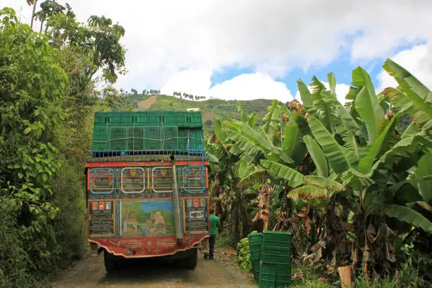 Loading truck with bananas for transporting, near El Jardin Antioquia, Colombia, South America