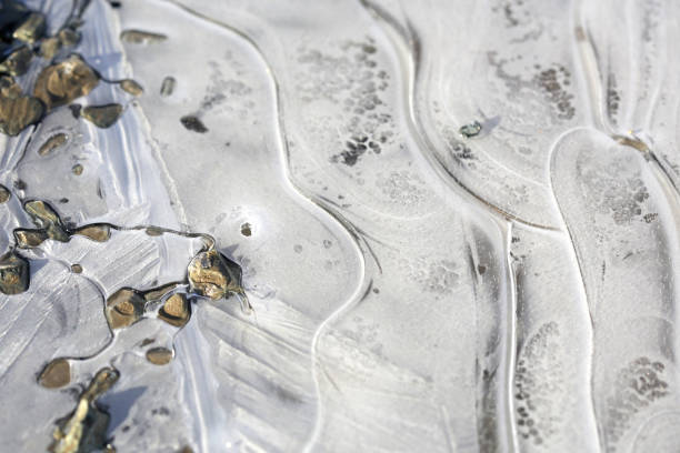 istock Frozen Puddle in the Meadow, Fraser Valley, British Columbia, Canada 874071240