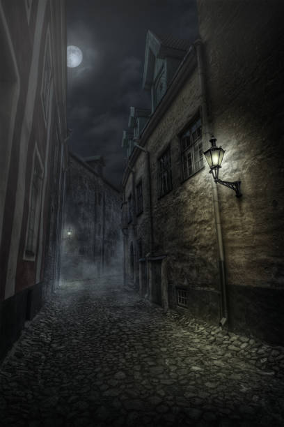 istock Street of Old Tallinn 874071826