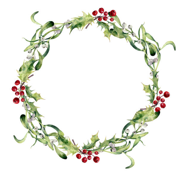 aquarell holly und mistel kranz. handgemalte florale zweigniederlassung grenze und weißen beeren, die isoliert auf weißem hintergrund. weihnachten clipart für design oder print. ferien-anlage. - christmas holly mistletoe symbol stock-grafiken, -clipart, -cartoons und -symbole