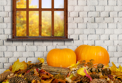 Festive still life with pumpkins on autumn leaves on brick wall background for Thanksgiving. Decoration for house interior with window.