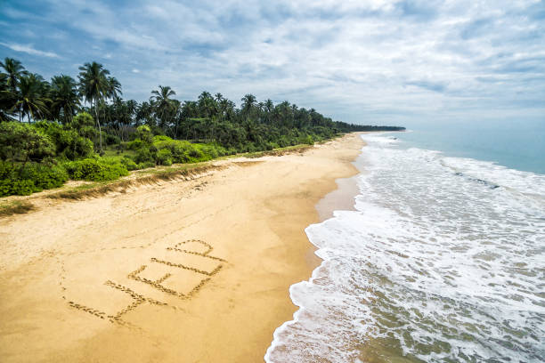 dzika tropikalna wyspa z opuszczoną plażą - castaway zdjęcia i obrazy z banku zdjęć