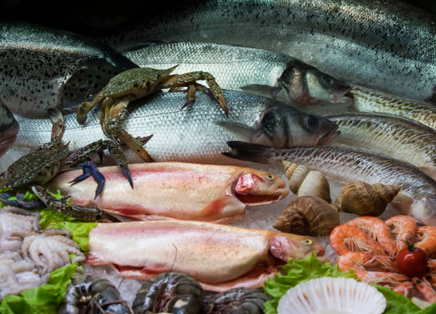 istock Background of fresh seafood 874079362