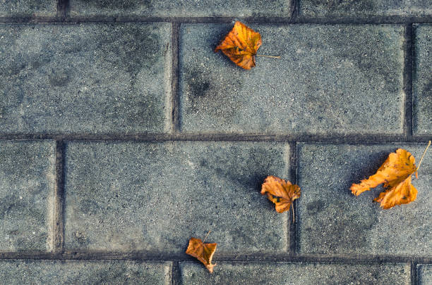 istock Bright autumn yellow leaves on gray contrasting bricks. Top view. 874087770