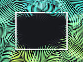 Palm frond frame background illustration.