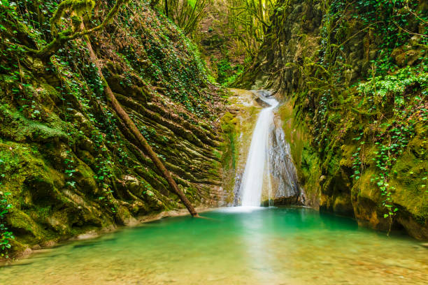 istock Waterfall in ravine Chudo-Krasotka, Sochi, Russia 874092770