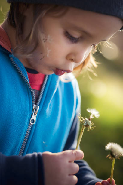 istock Little kid holding a dandelion in his hands 874095374
