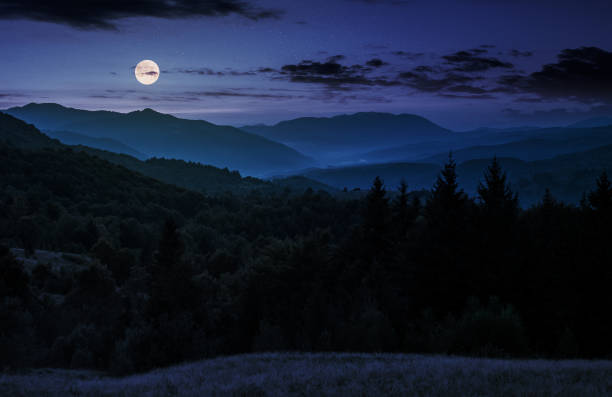 full moon rise above forested mountain at night stock photo