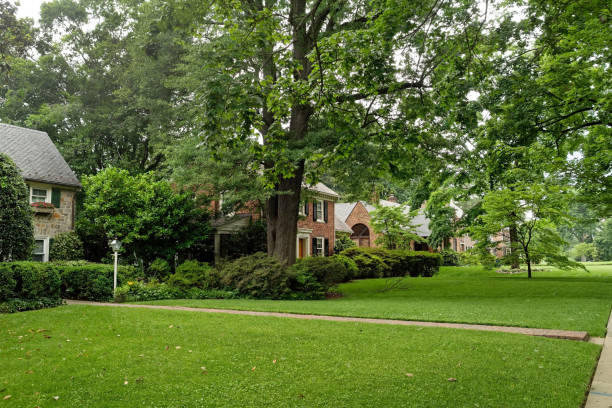 istock Residential Neighborhood 874099520
