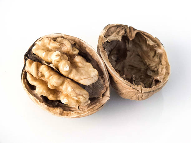 istock dry walnut paintings in various concepts, walnuts in plates and bags ready to present, walnut interior paintings, broken walnut and crushed walnut side by side 874099790