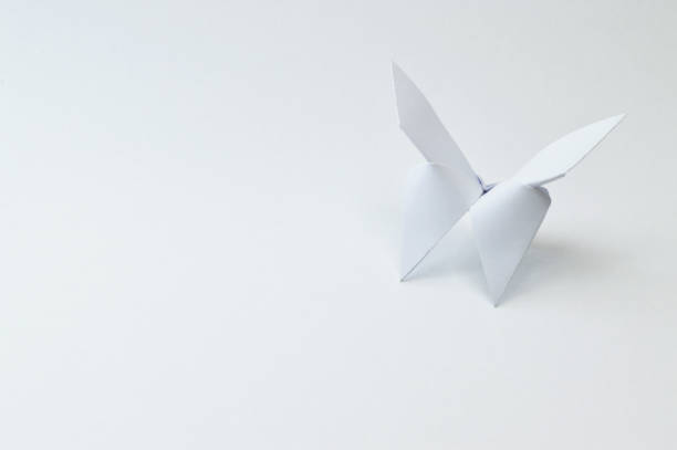 istock origami butterfly close up on white background 874102980