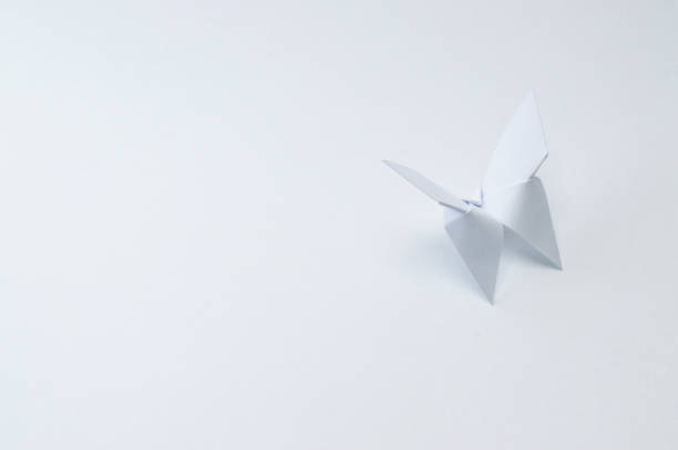 istock origami butterfly on white background 874103096