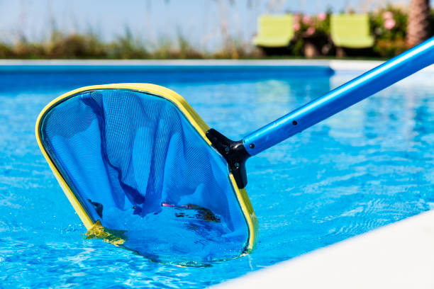 istock Leaves being gathered in a skimmer net found in a swimming pool 874107730