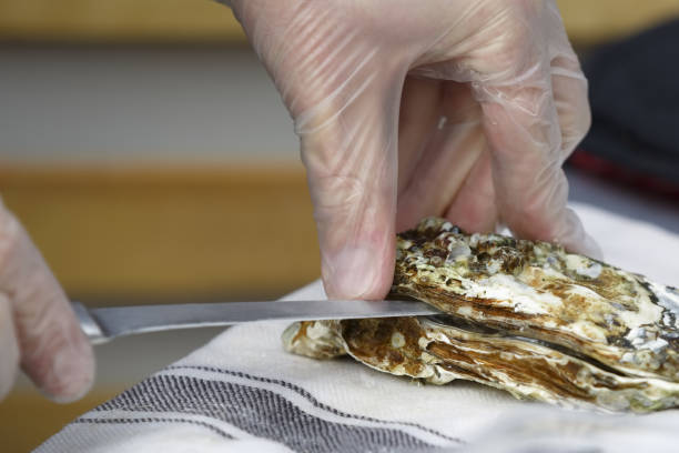istock The cook opens the oyster with a knife 874110232