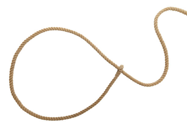 Lasso Brown Western Cowboy Lasso Rope Isolated on White Background. tied knot photos stock pictures, royalty-free photos & images