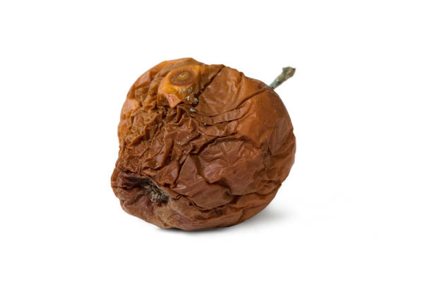 istock Old rotten apple on white isolated background 874115244