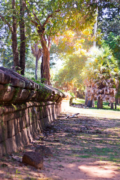 Close up Dirt road stretching through Cambodian jungle beside castle. Siem Reap, Cambodia. Landscape in jungle, Southeast Asia Close up Dirt road stretching through Cambodian jungle beside castle. Siem Reap, Cambodia. Landscape in jungle, Southeast Asia. kampot stock pictures, royalty-free photos & images