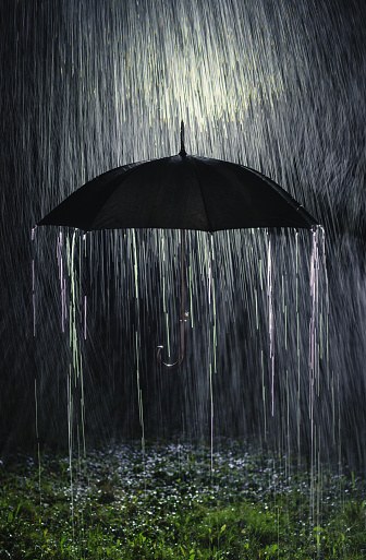 Rain pours down onto an umbrella.