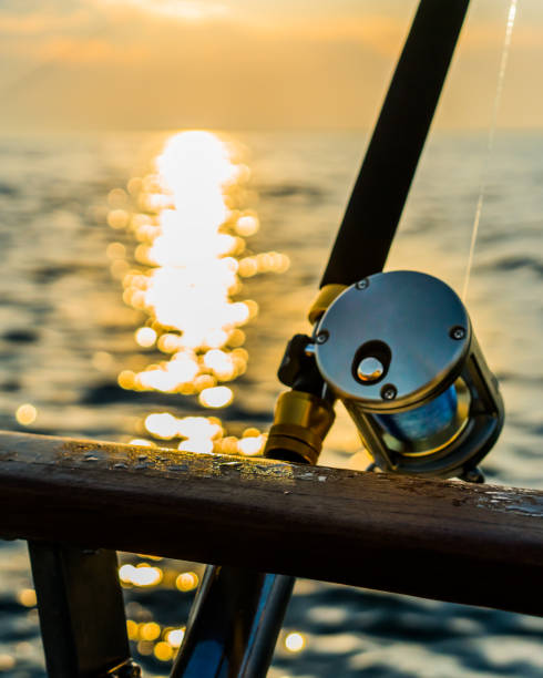 Fishing rod and reel on boat Fishing gear on deep sea sport fishing trip in the bay at sunset sebastinae photos stock pictures, royalty-free photos & images