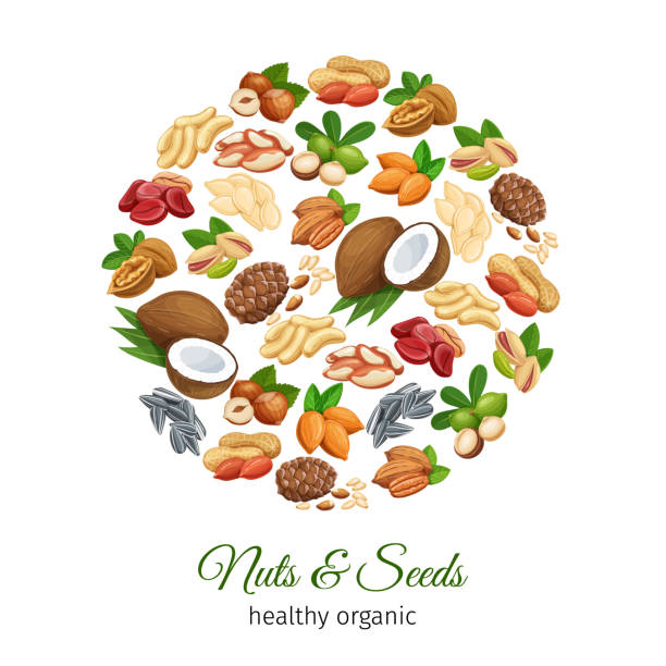 ilustrações de stock, clip art, desenhos animados e ícones de hand drawn sketch nuts and seeds - chestnut food nut fruit