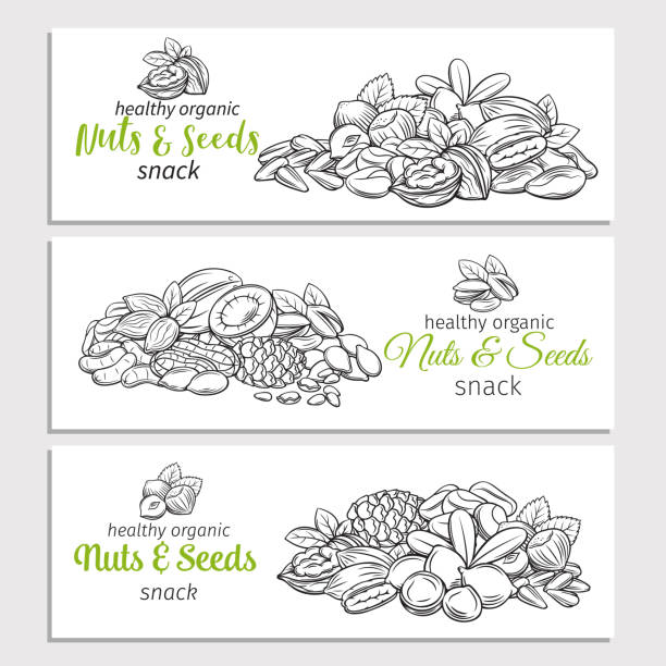 ilustrações, clipart, desenhos animados e ícones de sementes e nozes de esboço mão desenhada - peanut nut snack isolated