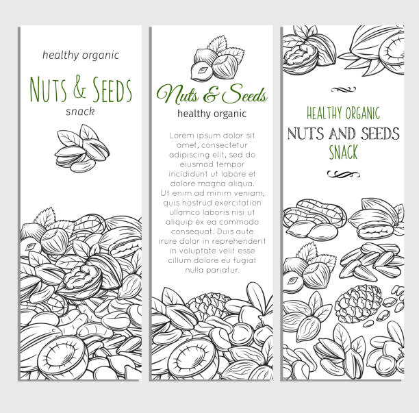 ilustrações de stock, clip art, desenhos animados e ícones de hand drawn sketch nuts and seeds - chestnut food nut fruit