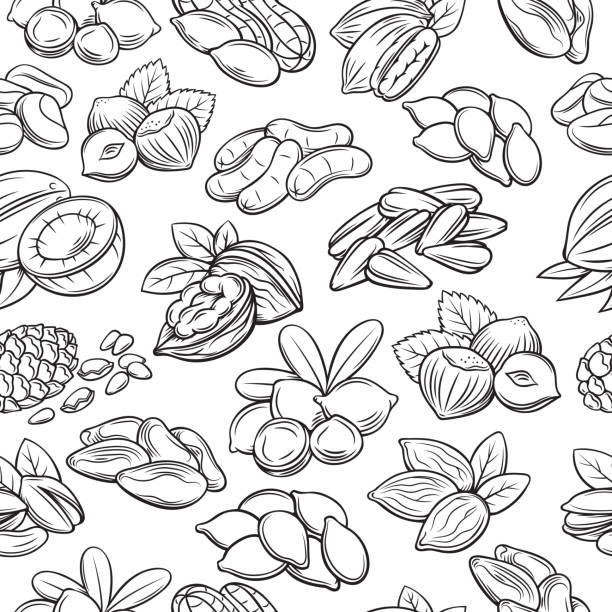 ilustraciones, imágenes clip art, dibujos animados e iconos de stock de patrón transparente de vector con frutos secos y semillas. - nut snack peanut backgrounds