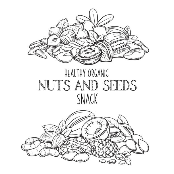 ilustrações, clipart, desenhos animados e ícones de mão desenhadas nozes e sementes - peanut nut snack isolated