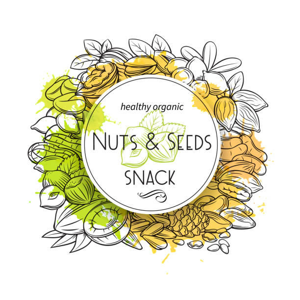 ilustrações de stock, clip art, desenhos animados e ícones de hand drawn nuts and seeds - chestnut food nut fruit