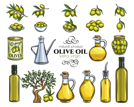 set sketch olive oil