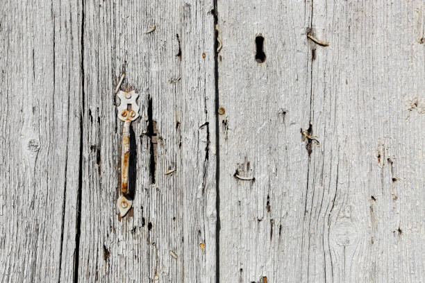 istock Very old wooden door texture 874157200