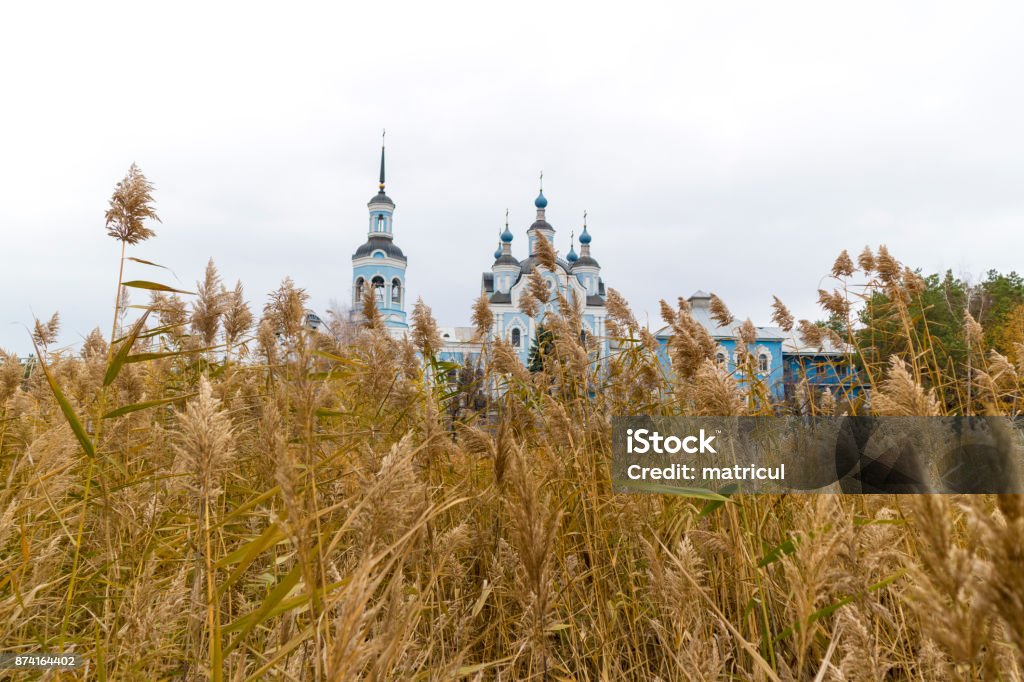 Orthodox church behind a wall of dry cane. Autumn Stock Photo