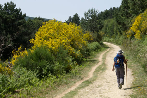 pèlerinage à pied à compostelle sur le chemin français de st james (camino de santiago) - pèlerinage photos et images de collection