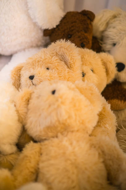istock group teddy bears lay indoor next to each other under the warm lights 874172920