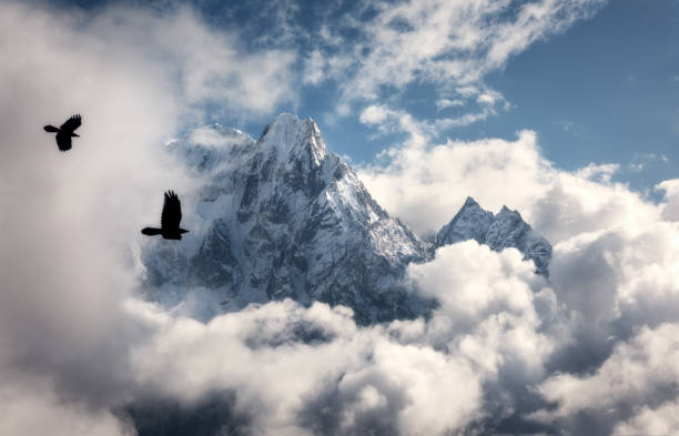 ネパールで日当たりの良い明るい日の雲で雪に覆われたピークと majestical のマナスル山に対して 2 つの飛んでいる鳥。美しい高岩と青い曇り空の風景します。自然の背景。妖精の場面 - snow valley mountain mountain peak ストックフォトと画像