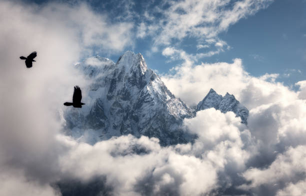 Photo of Two flying birds against majestical Manaslu mountain with snowy peak in clouds in sunny bright day in Nepal. Landscape with beautiful high rocks and blue cloudy sky. Nature background. Fairy scene