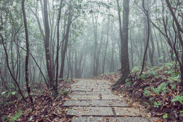 istock Zhangjiajie Forest Park. 874189744