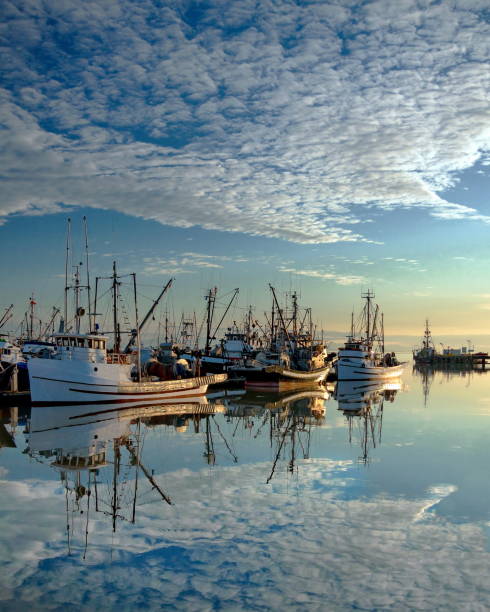 istock Sunset at The Marina 874196772