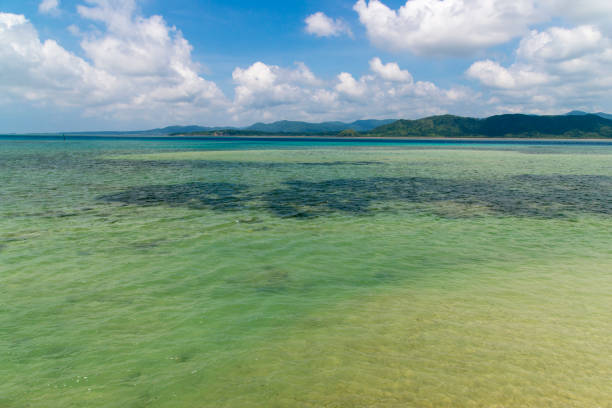 istock Iriomote island view from the Kubazaki coast (Kohama Island / Kohamajima, Okinawa) 874196962