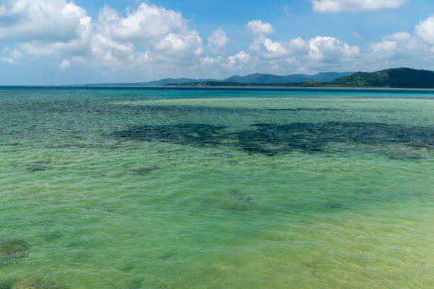 istock Iriomote island view from the Kubazaki coast (Kohama Island / Kohamajima, Okinawa) 874197482
