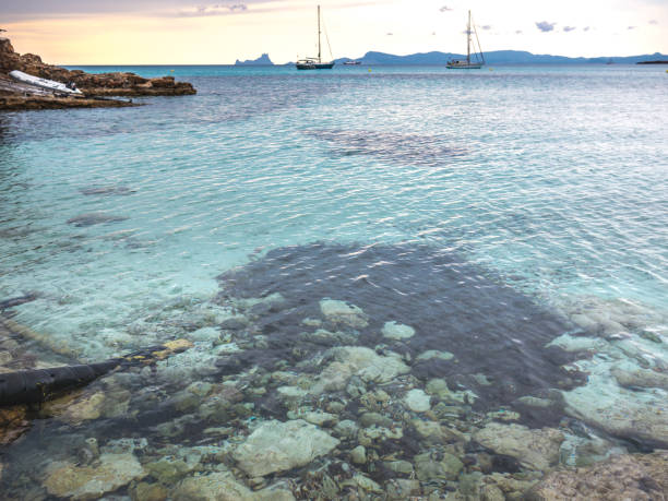 transparent formentera waters - saana imagens e fotografias de stock